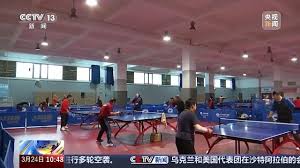 2026国际足联世界杯 家里放的四分之一乒乓球台